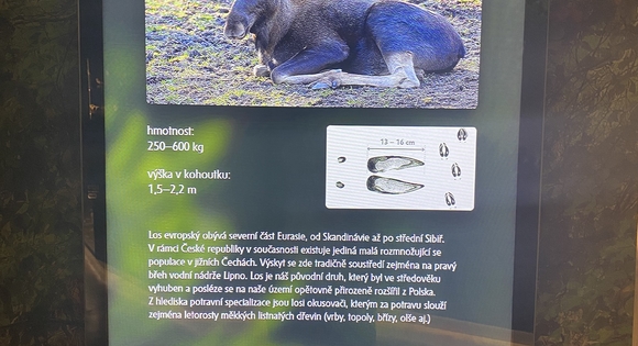 Kliknutím zvětšíte img_4846