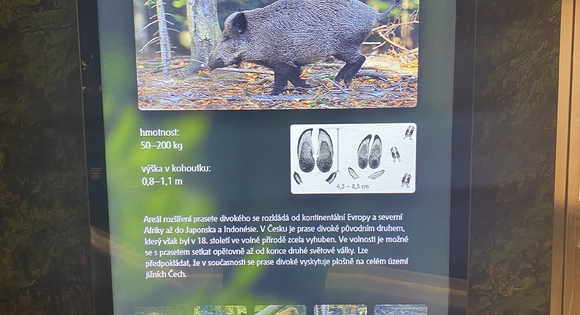 Kliknutím zvětšíte img_4849