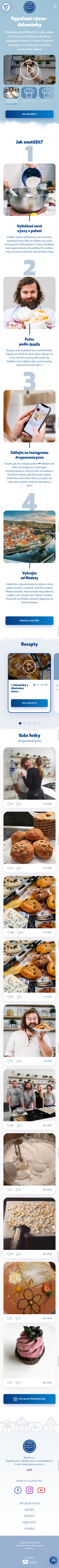 náhled webu