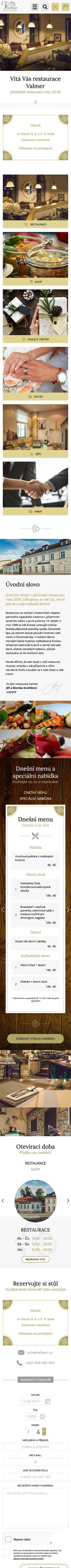 náhled webu