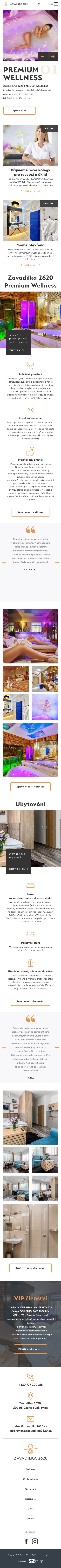 náhled webu